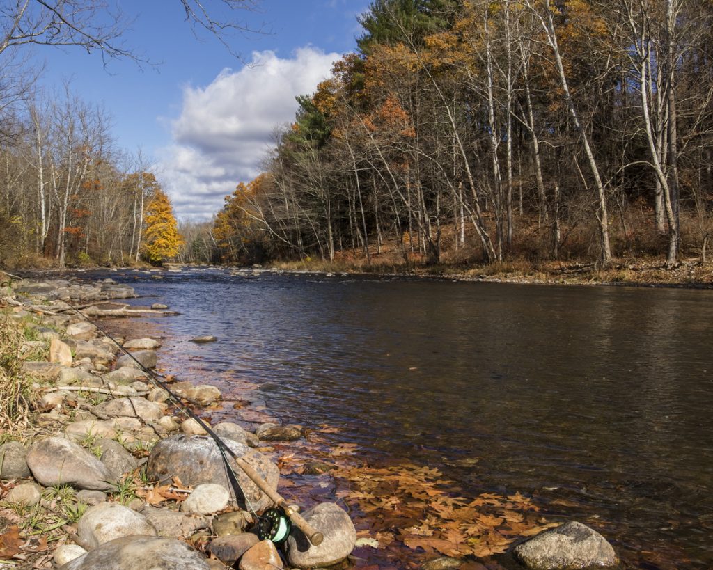 Fishing in Fairfield County, CT