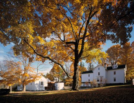 Home exterior maintenance